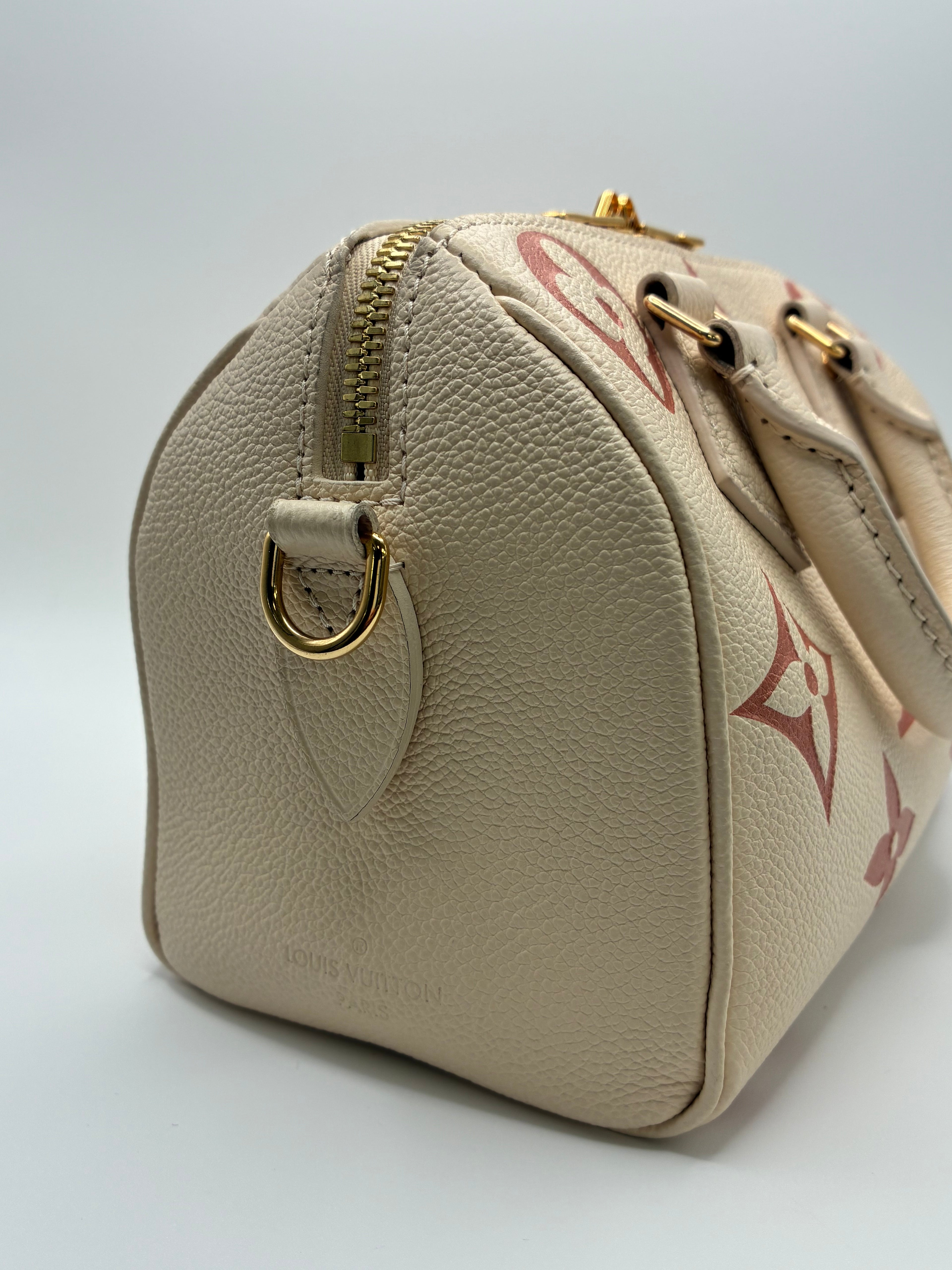 Louis Vuitton Limited Edition Speedy 20 Bandoulier Bicolour