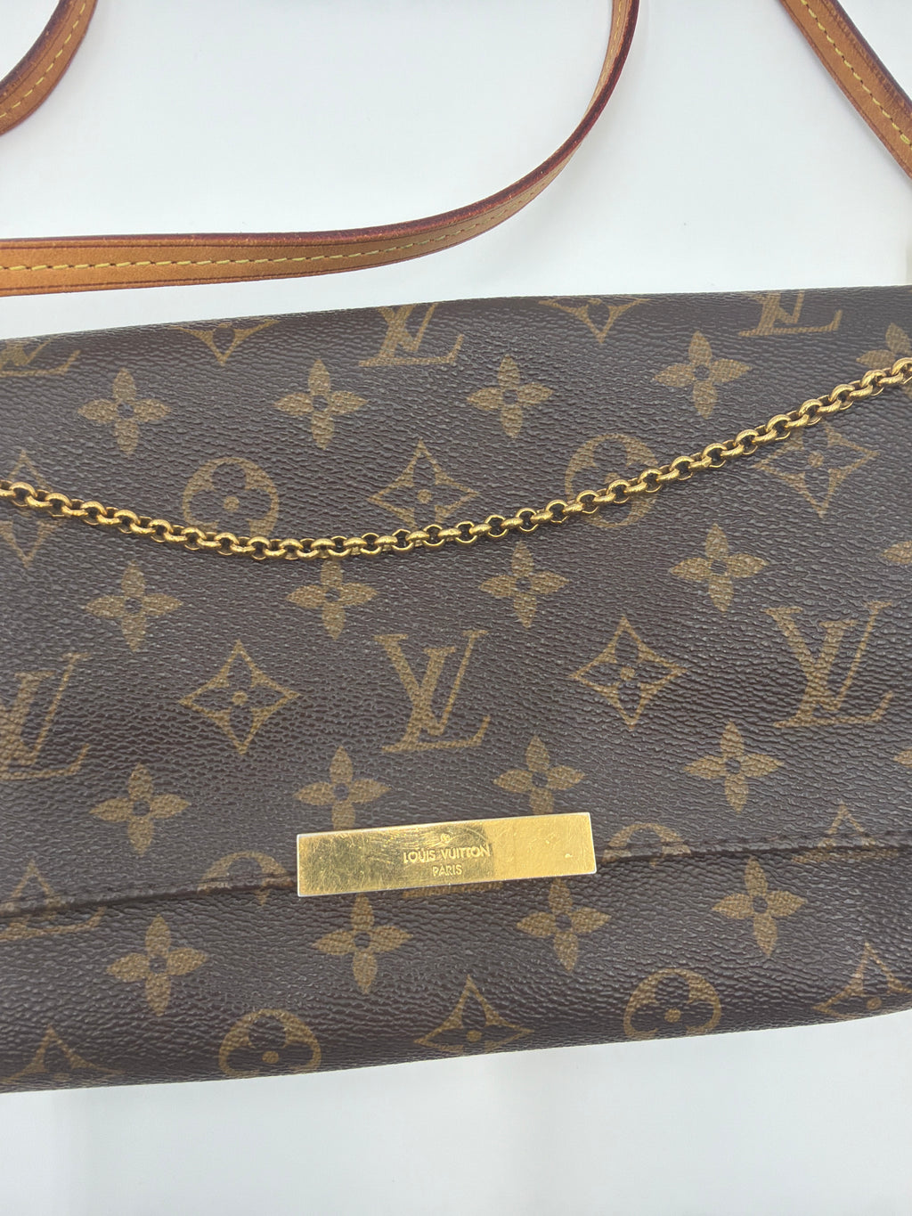 Louis Vuitton Favorite MM Monogram