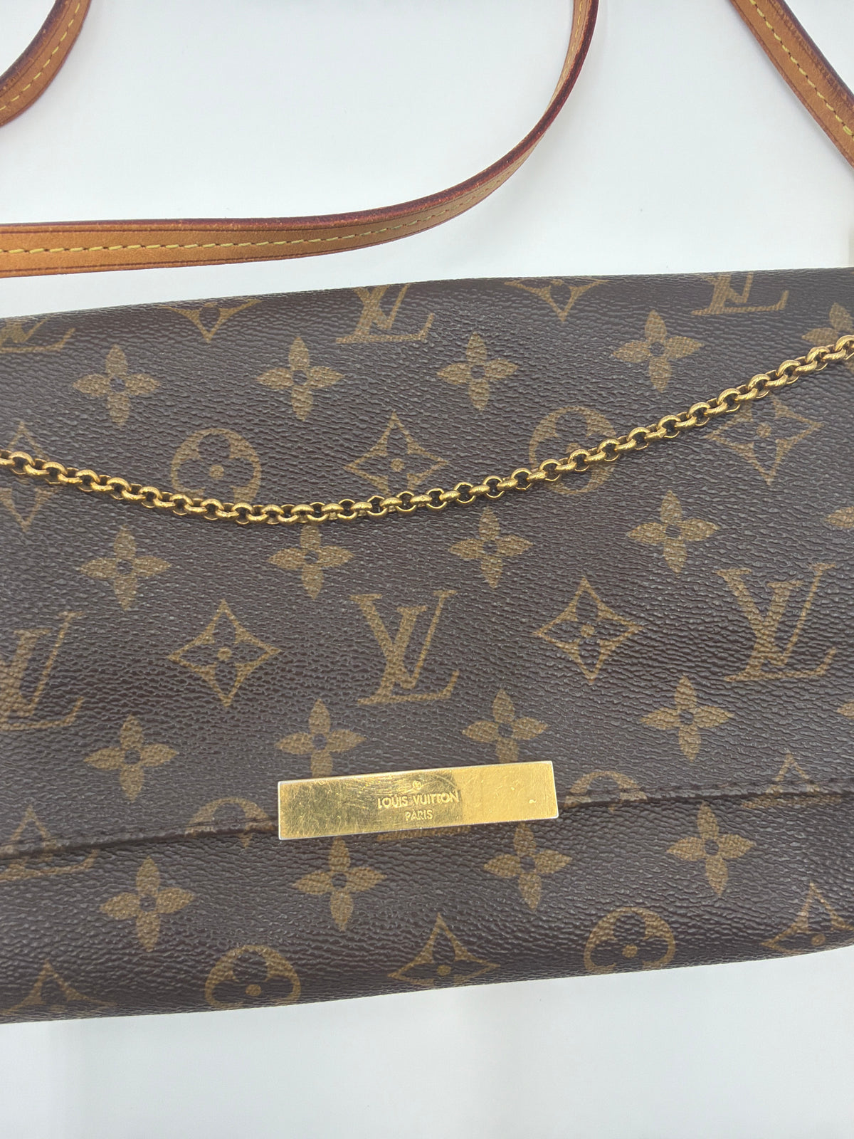 Louis Vuitton Favorite MM Monogram