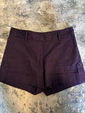 Theory Purple Shorts