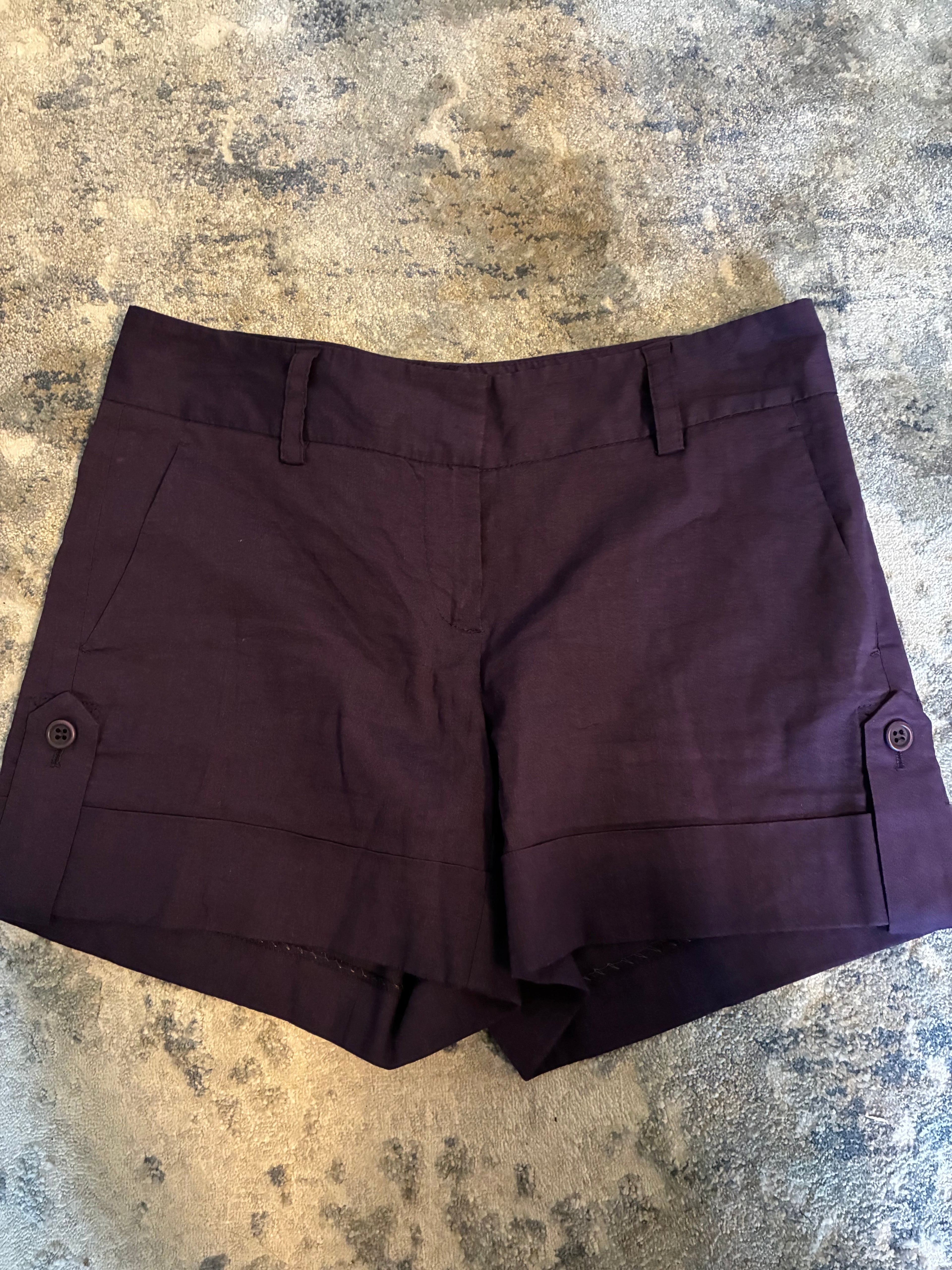 Theory Purple Shorts