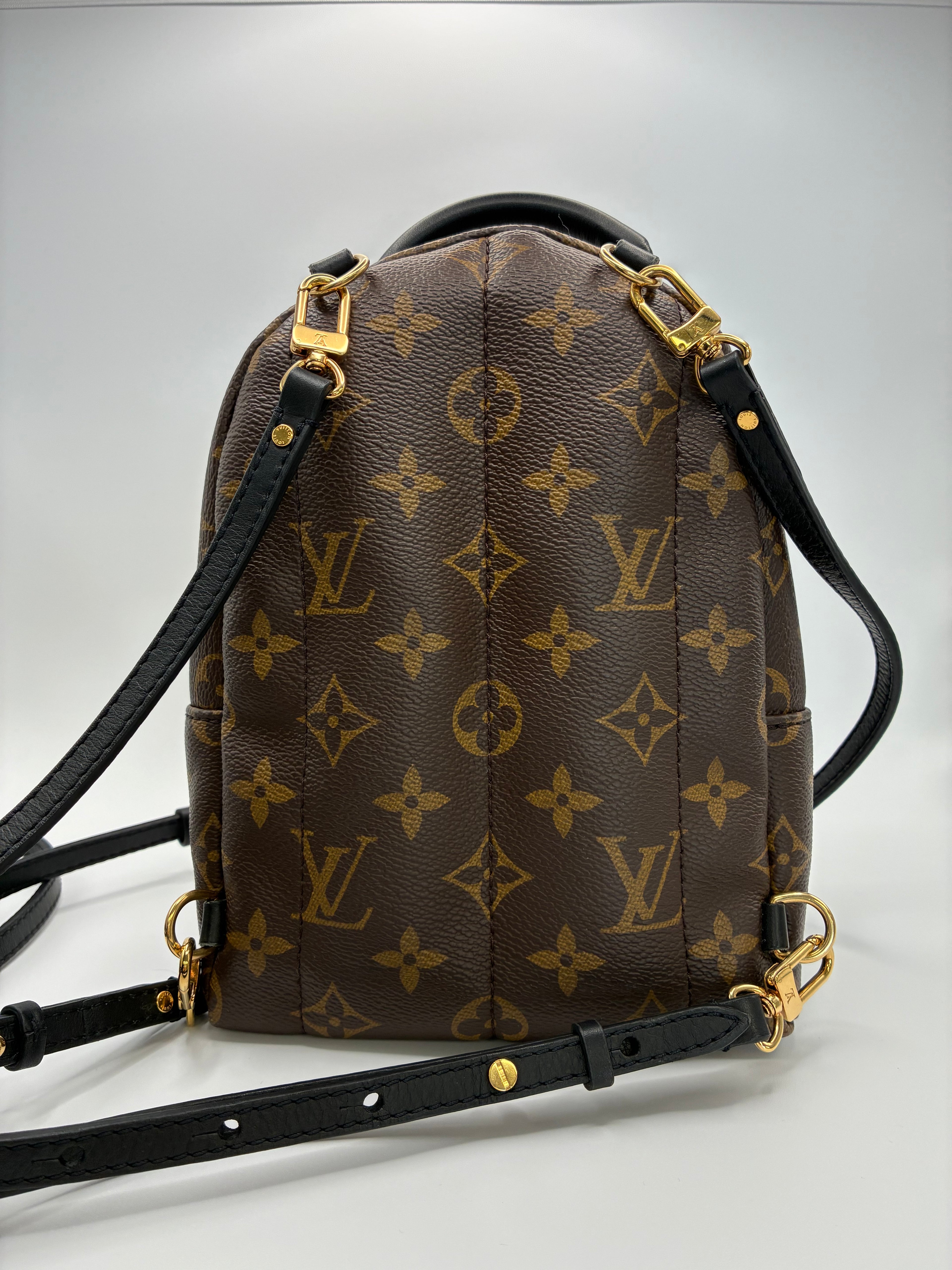 Louis Vuitton Palm Springs Mini Backpack