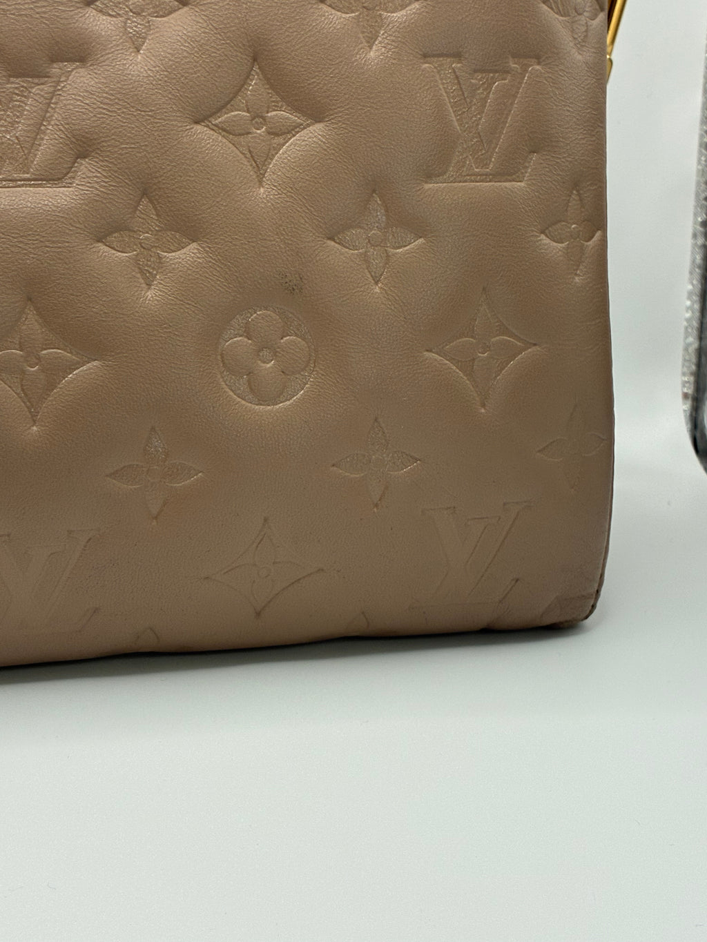 Louis Vuitton Coussin MM