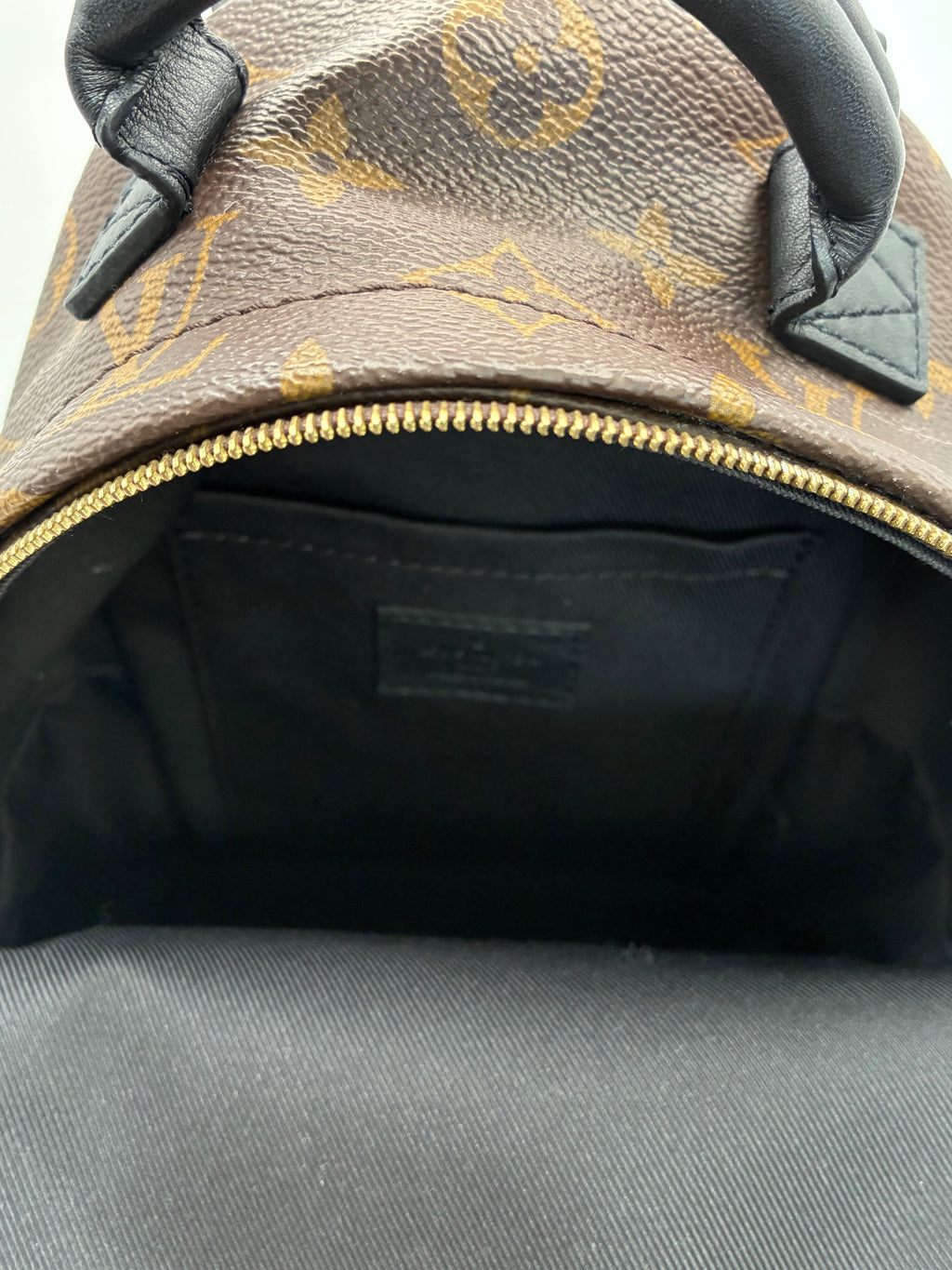 Louis Vuitton Palm Springs Mini Backpack