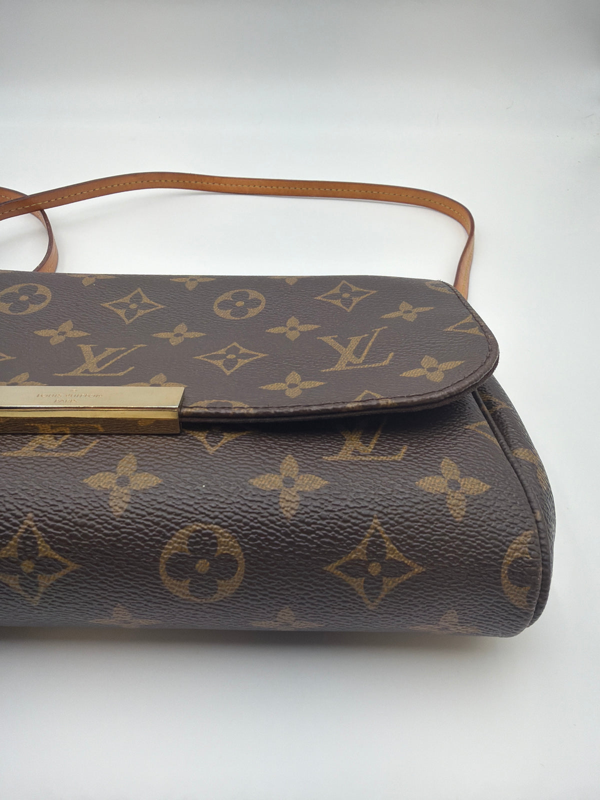 Louis Vuitton Favorite MM Monogram