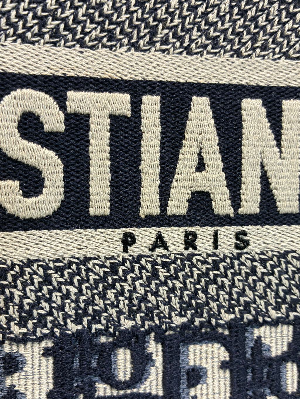 Christian Dior Large Book Tote