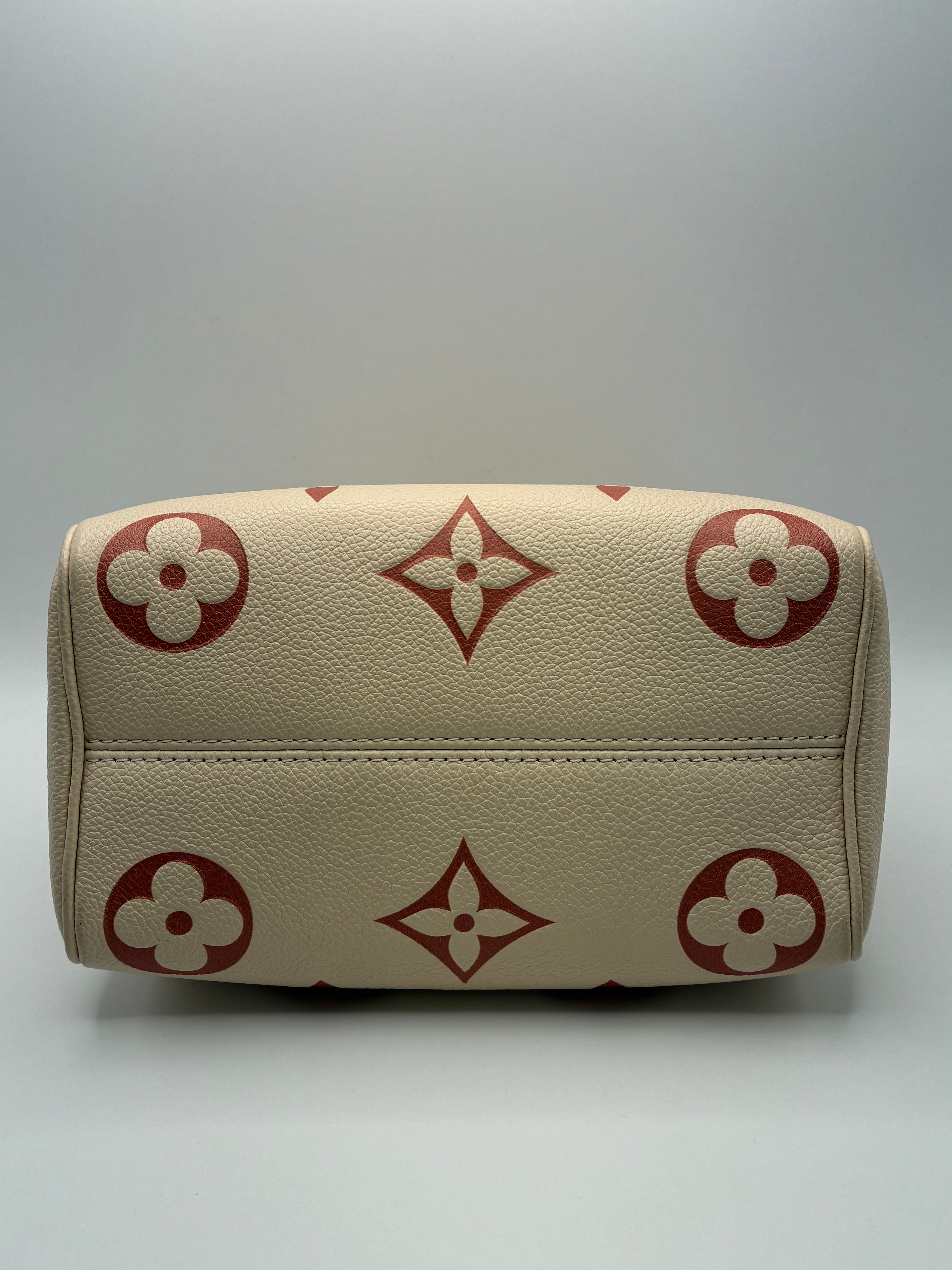 Louis Vuitton Limited Edition Speedy 20 Bandoulier Bicolour