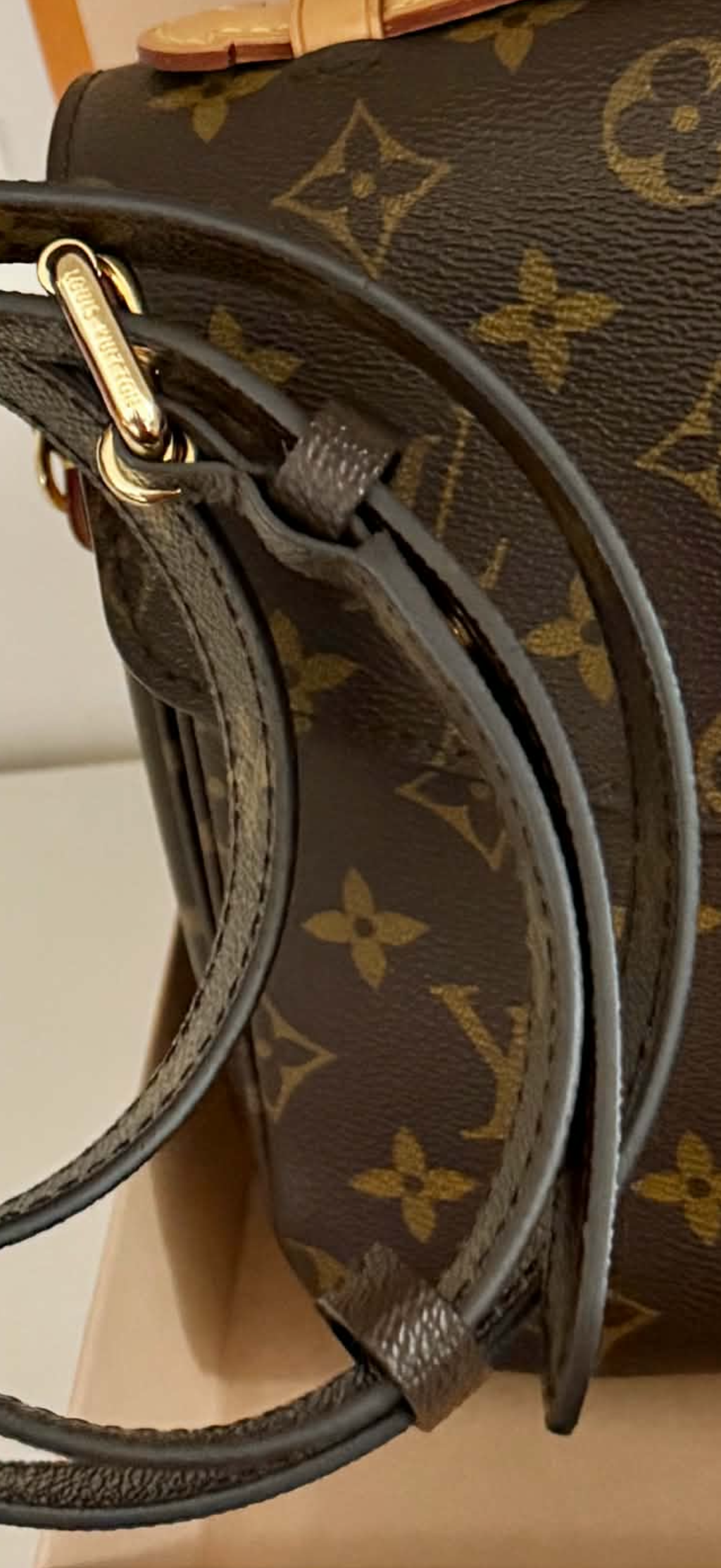Louis Vuitton Pochette Metis Monogram Canvas