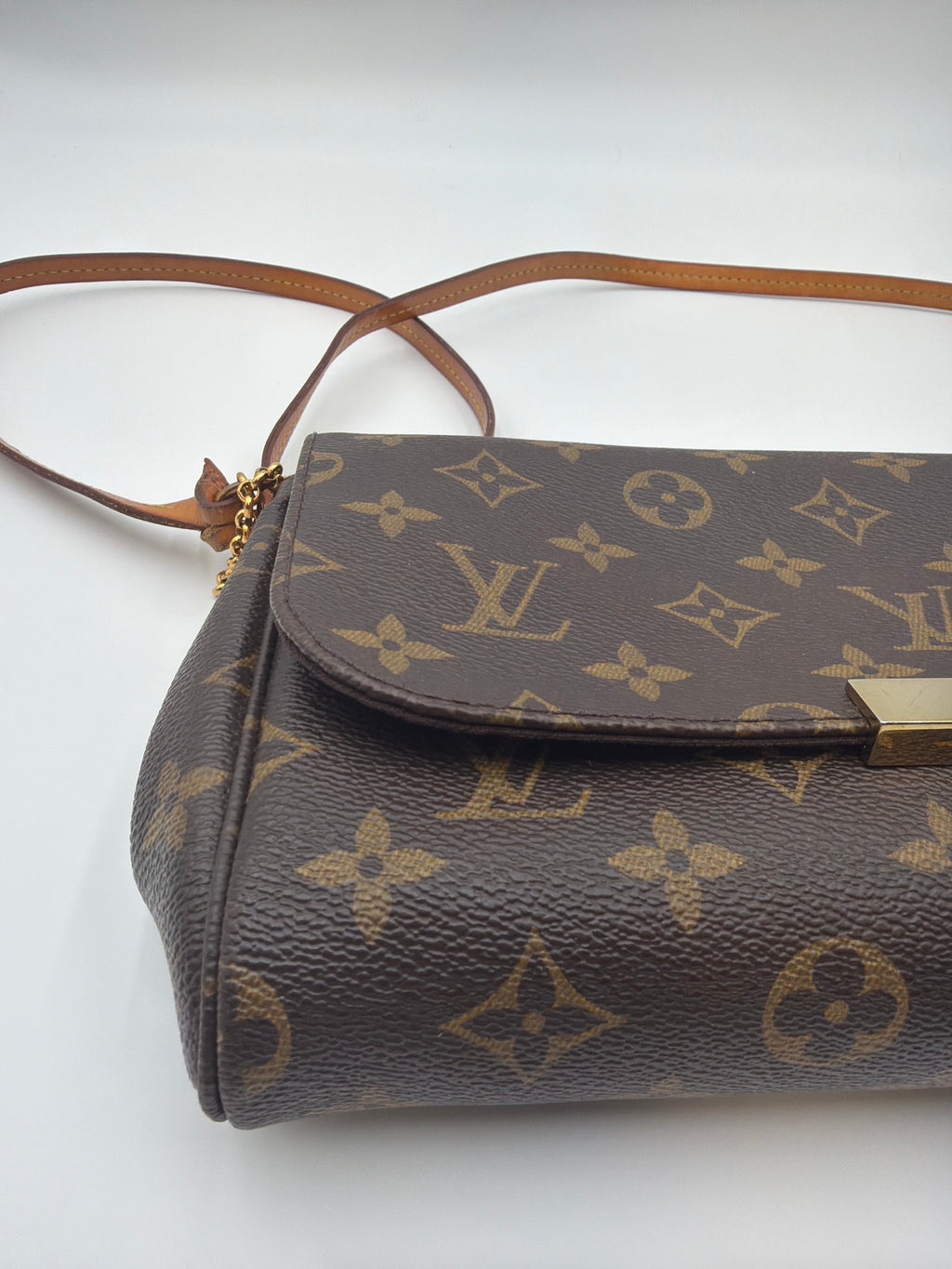 Louis Vuitton Favorite MM Monogram