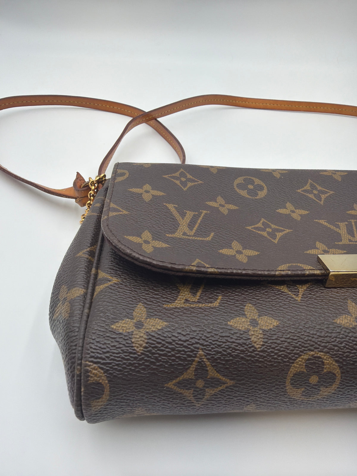 Louis Vuitton Favorite MM Monogram