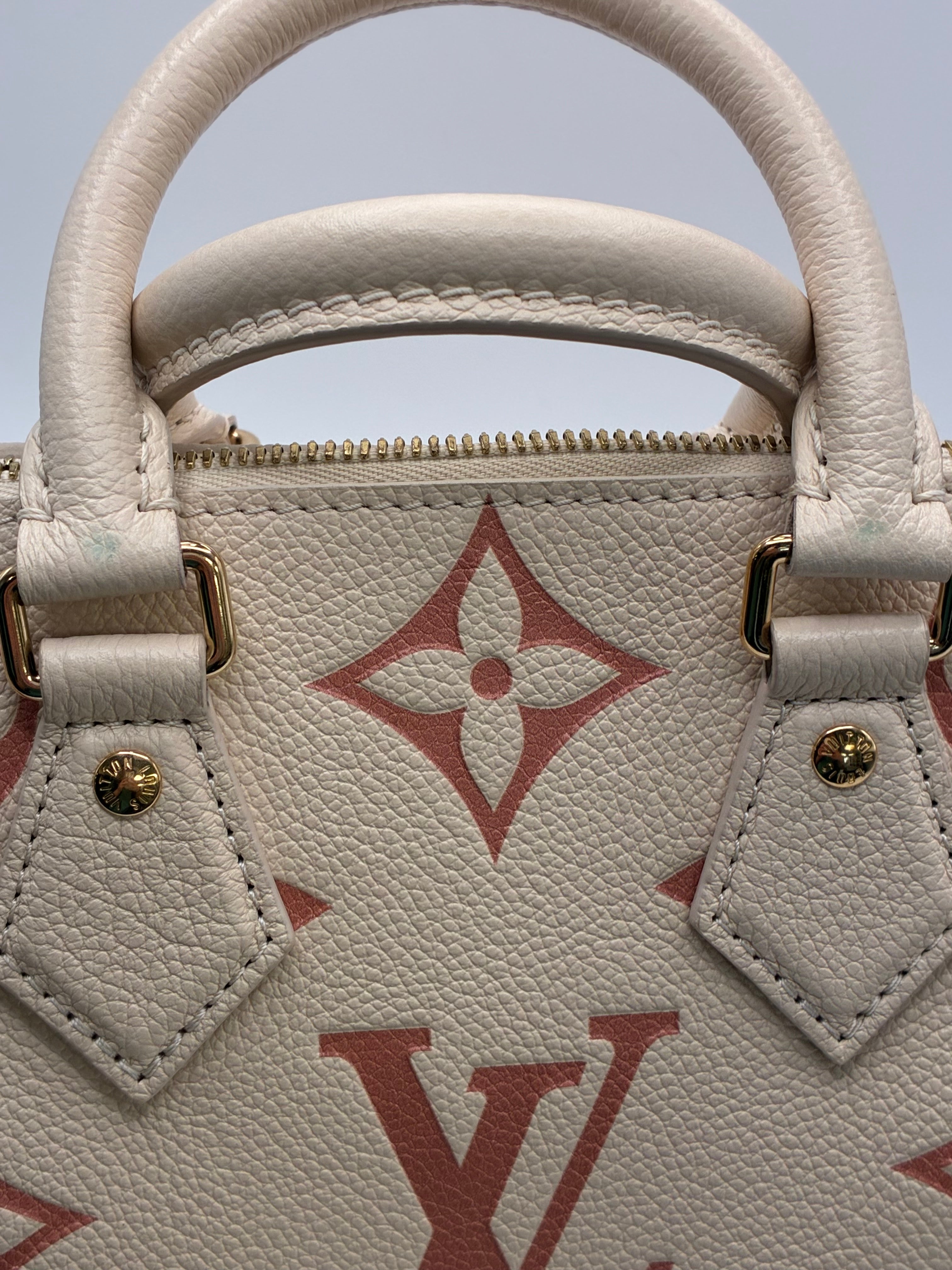 Louis Vuitton Limited Edition Speedy 20 Bandoulier Bicolour