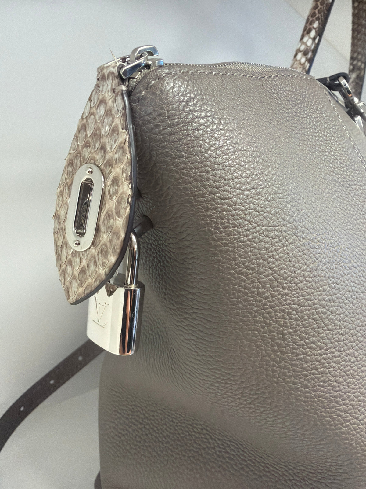Louis Vuitton Soft Lockit Python Handles