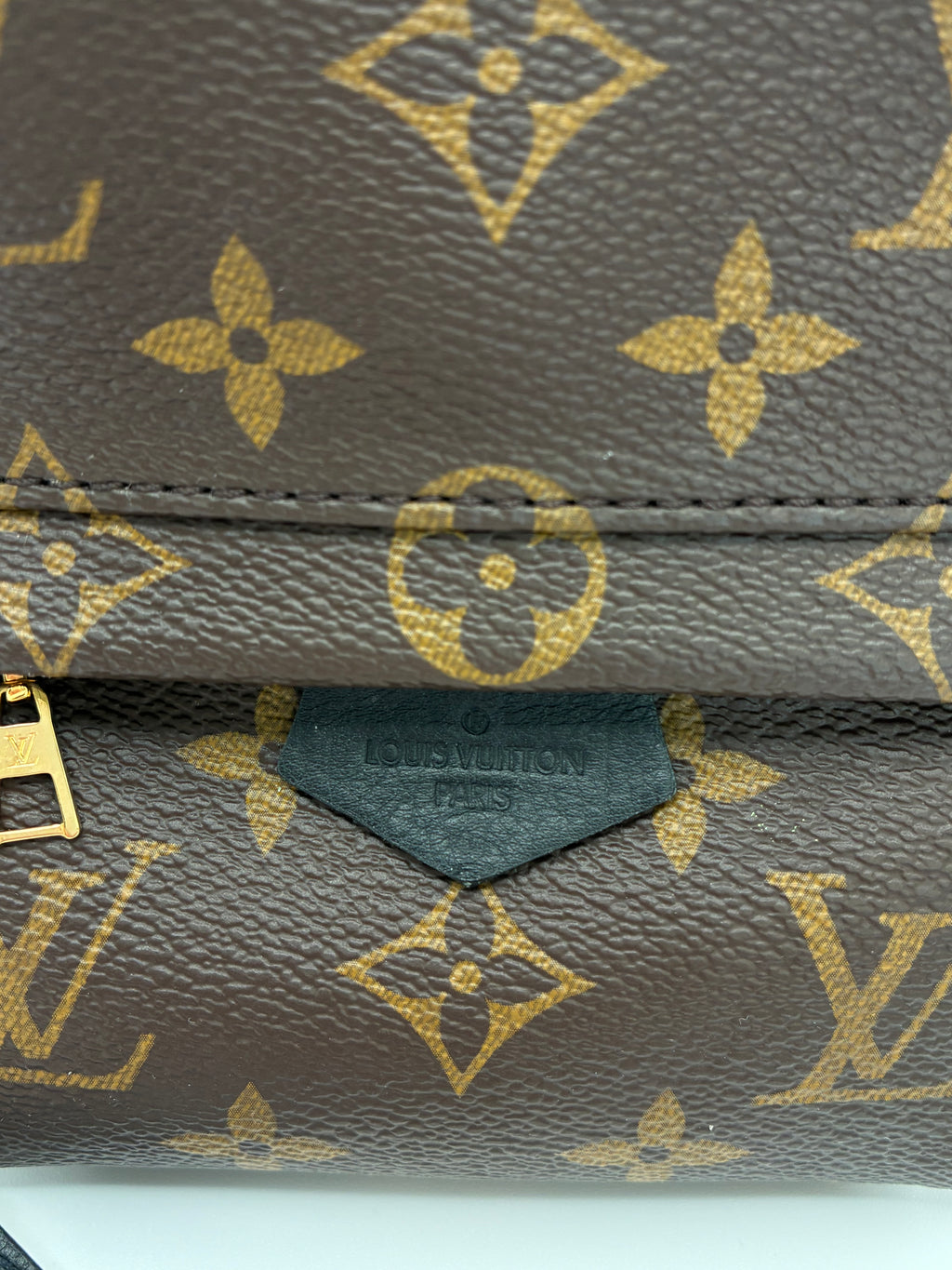 Louis Vuitton Palm Springs Mini Backpack