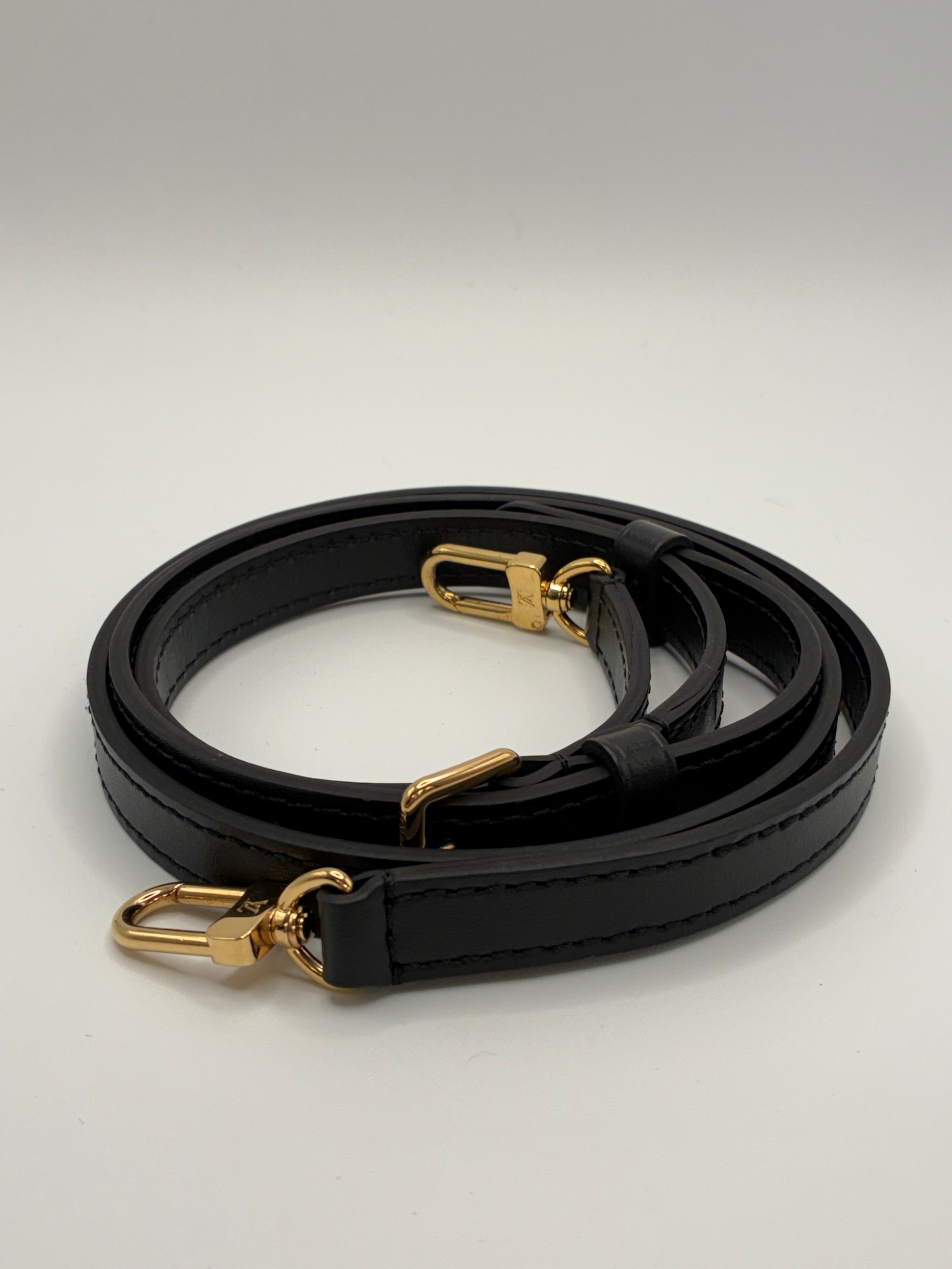 Louis Vuitton Camera Box bag