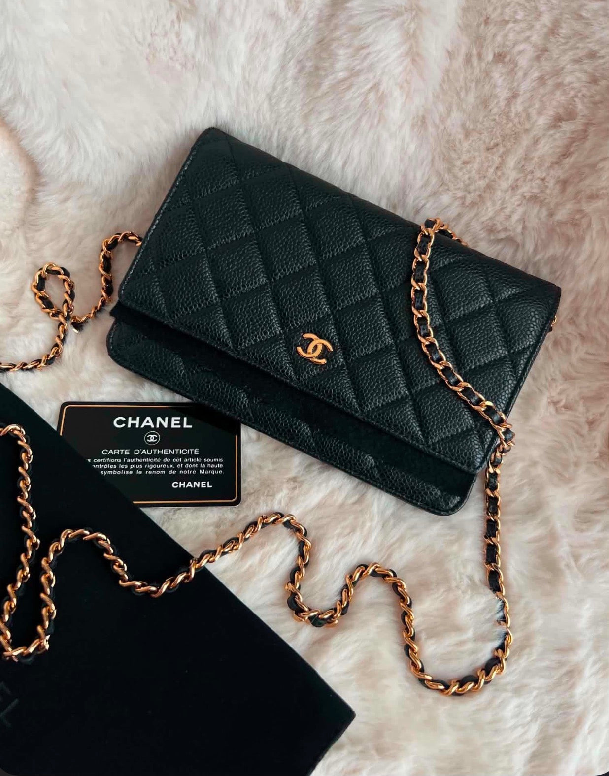 Chanel WOC Caviar (Holo 25) -pre order