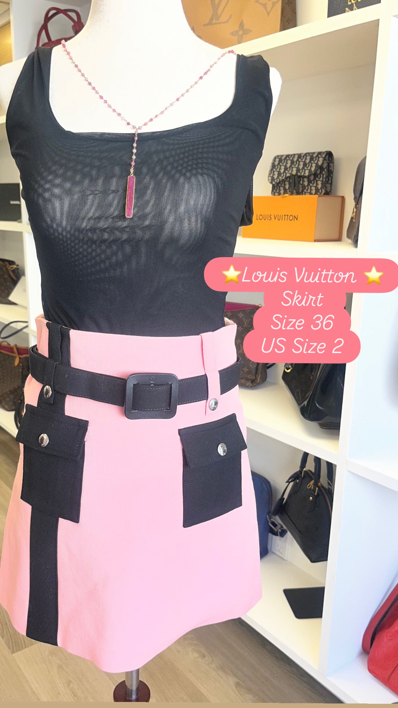 Louis Vuitton Pink Skirt